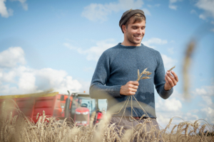 Photo of man in field checking wheat